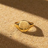 Chevalière Debout sur Sable